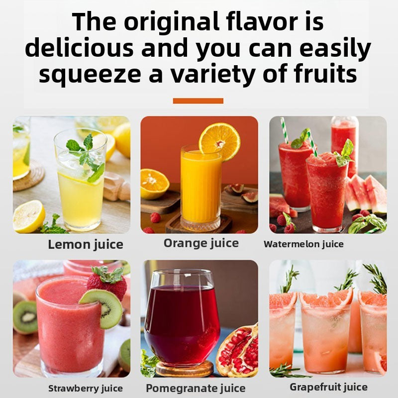 Professional Citrus Juicer Hand Press